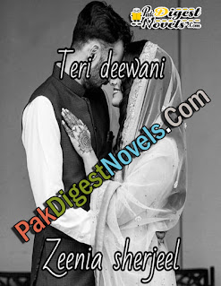 Teri Deewani (Complete Novel) By Zeenia Sherjeel