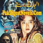 Anjany Raaste (Complete Novel) By Syed Ali Hassan Gilani