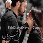 Dasht-E-Dil (Novel Pdf) By Mahnoor Shehzad