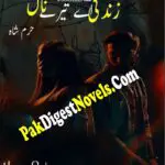 Zindagi Ay Tere Naal (Novel Pdf) By Harram Shah