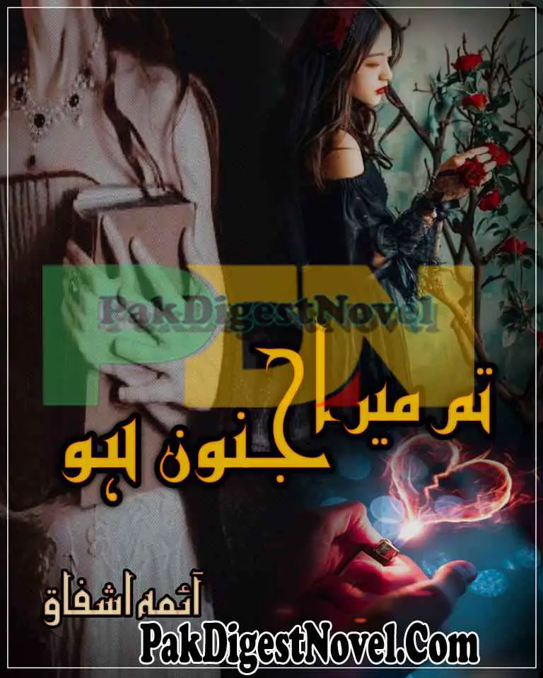 Tum Mera Junoon Ho (Novel Pdf) By Aima Ashfaq