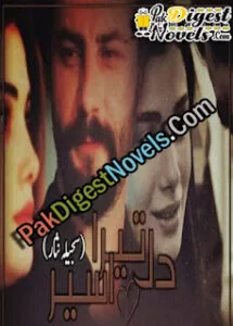 Dil Tera Aseer (Novel Pdf) By Sajeela Nisar