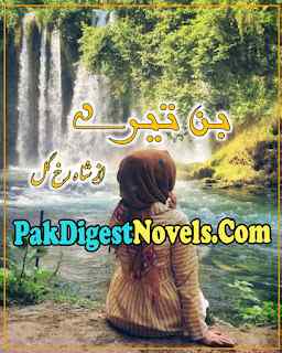 Bin Tere (Novel Pdf) By Shah Rukh Gull